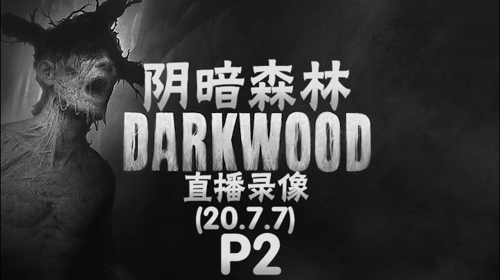 《阴暗森林》 2020-07-07 P2