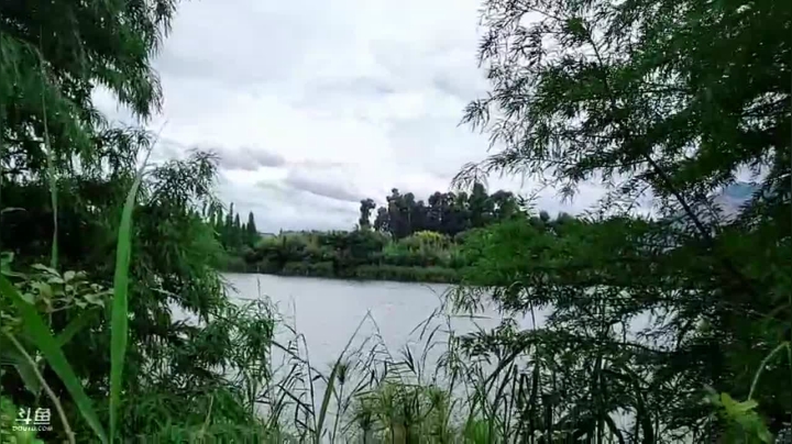 彩云之南~民族村 2020-07-11 14点场