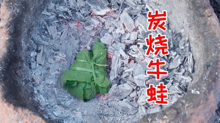 农村小伙突发奇想，竟用南瓜叶包牛蛙烤着吃，这味道真是绝了