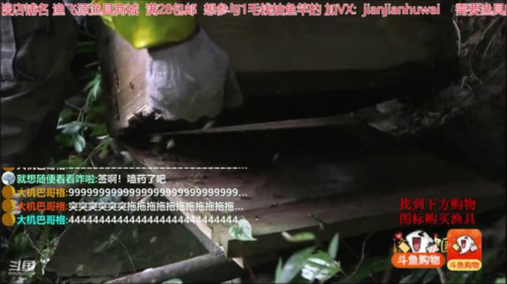 我在斗鱼看贱贱钓鱼直播户外
