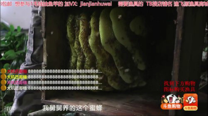 wlbig发布了一个斗鱼视频2020-07-12