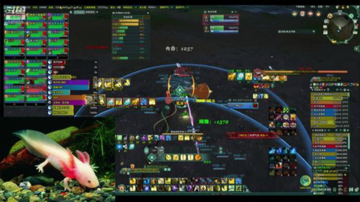 测试测试测 3489558 2020-07-07 14点场