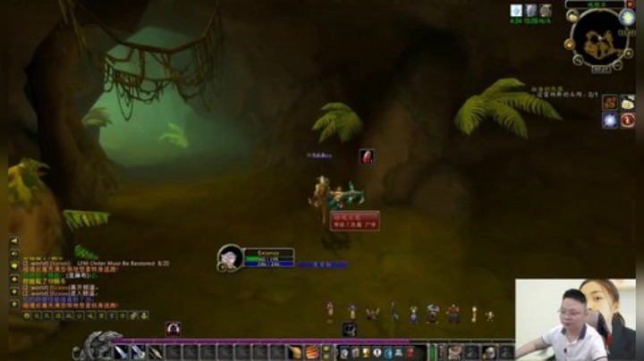 魔兽世界怀旧服：猎人刚立FLAG，一条命到60！当他进入山洞后-哈哈