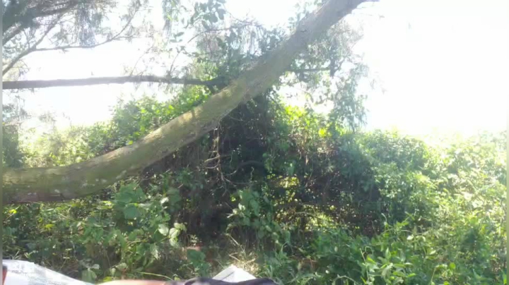 海岛野炊-看谁先饿死 2020-07-13 10点场