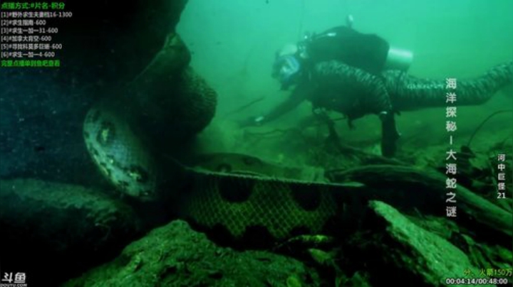 静思世语发布了一个斗鱼视频2020-07-13