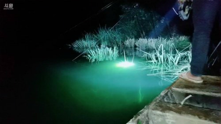 水库钓鱼第11天终于上货了 2020-07-13 20点场