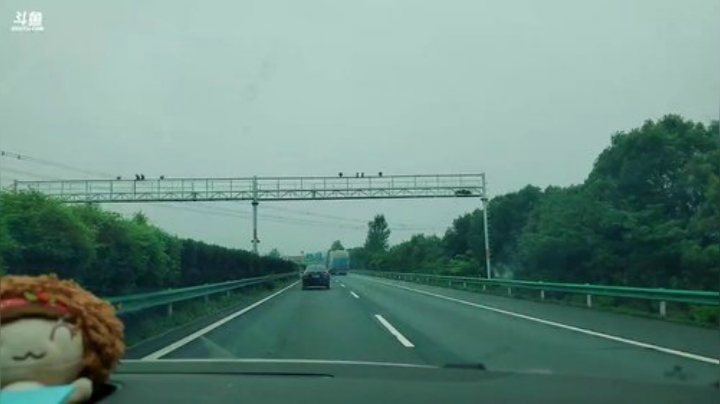 带花花回家结婚咯(≧ω≦)/ 2020-07-14 14点场