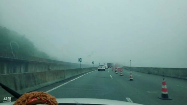 带花花回家结婚咯(≧ω≦)/ 2020-07-14 16点场