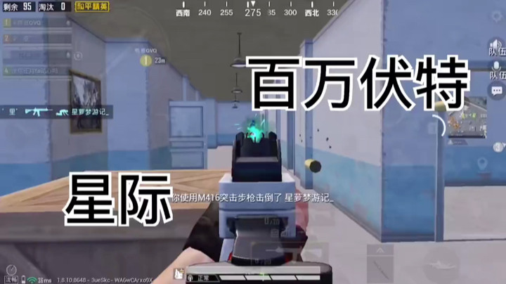 小鸟伏特加