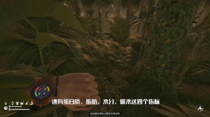 绿色地狱测评