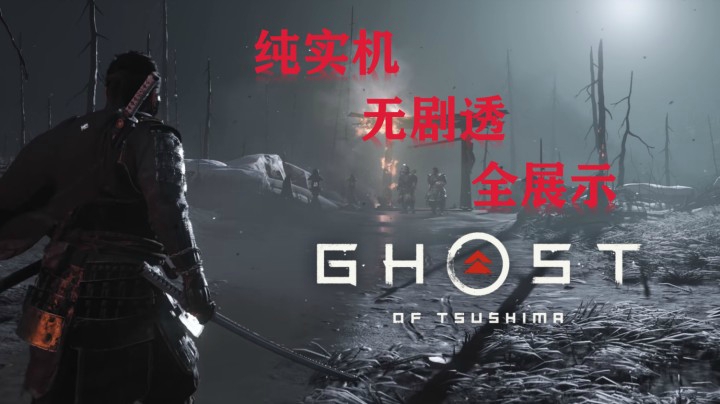 玩法，画面，优点，缺点！买前先看！《对马岛之魂》正式版评测