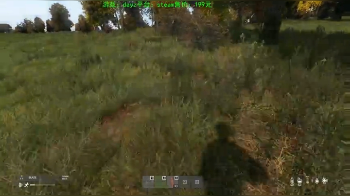 dayz (艺术家的生存哲学） 2020-07-14 22点场