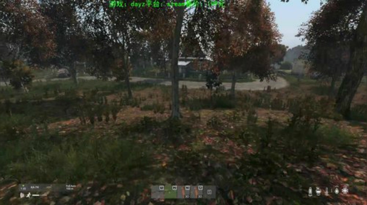 dayz (艺术家的生存哲学） 2020-07-14 20点场