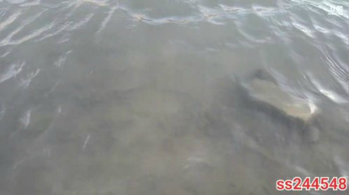 纪实直播:西藏阿里南线第111天 2020-07-16 20点场