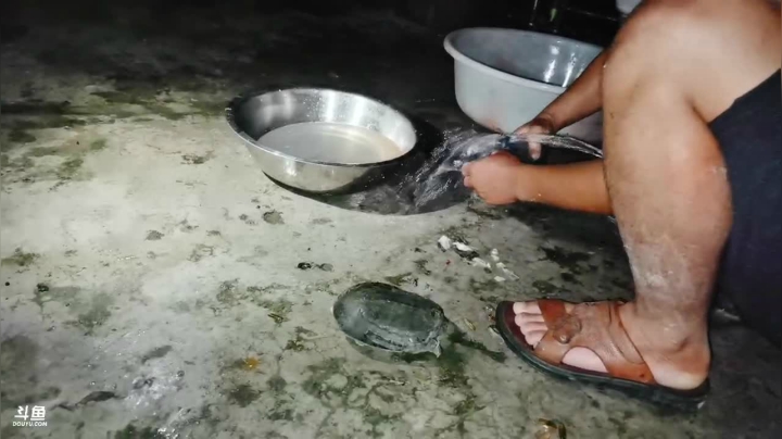 晚上弄钓鱼窝子 2020-07-16 19点场