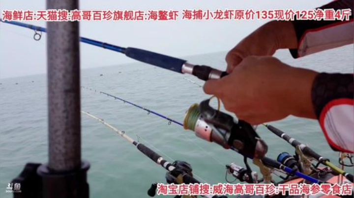 西北老狼哥哥发布了一个斗鱼视频2020-07-16