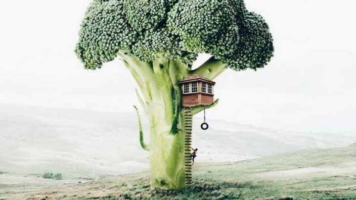 当我们人多的时候，打回来了