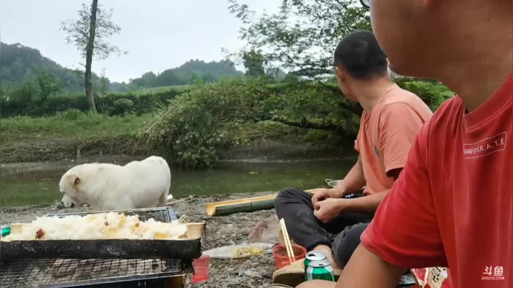 钓点桂鱼户外美食 2020-07-16 15点场