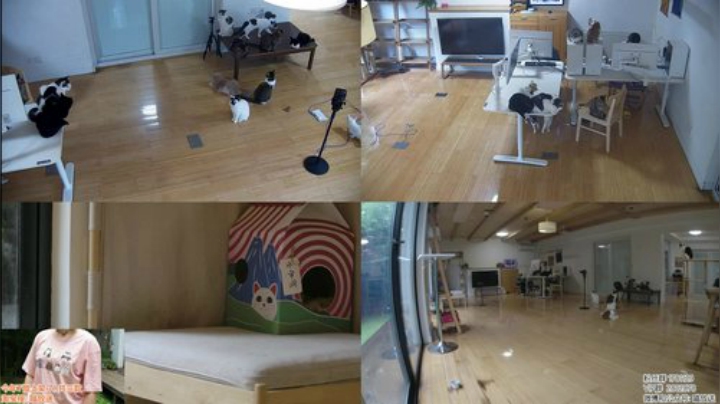 HHHISHHH发布了一个斗鱼视频2020-07-16