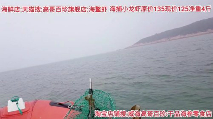 西北老狼哥哥发布了一个斗鱼视频2020-07-16