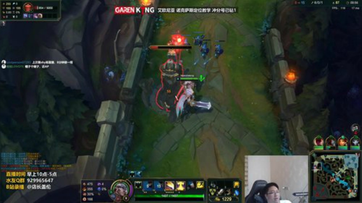 十八项之力盖伦