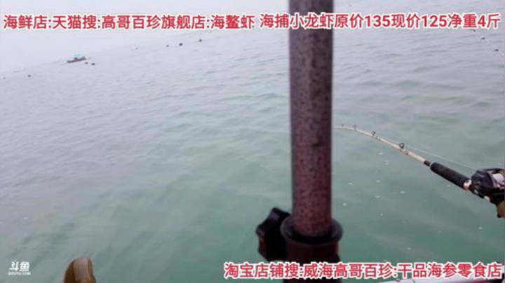 龙马精神丶老狼哥发布了一个斗鱼视频2020-07-16