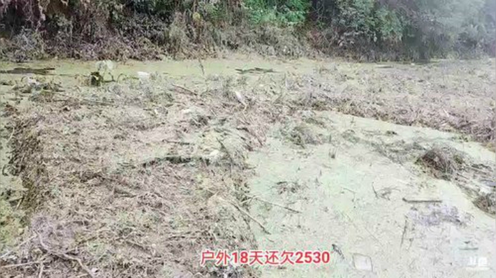 科头溜子发布了一个斗鱼视频2020-07-17