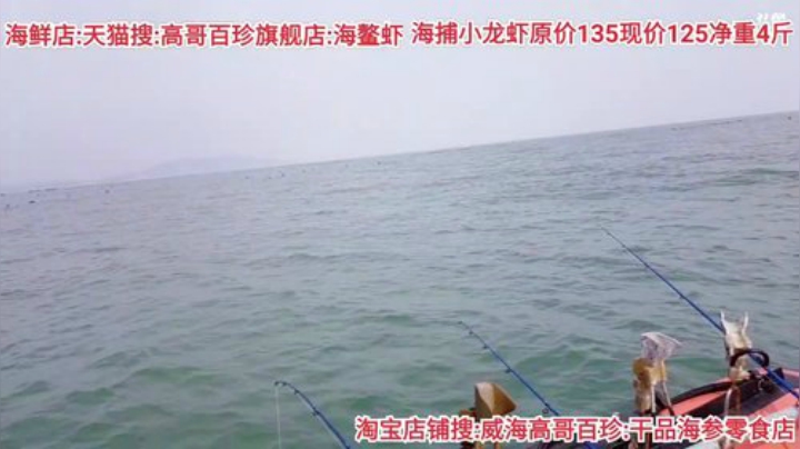 龙马精神丶老狼哥发布了一个斗鱼视频2020-07-17