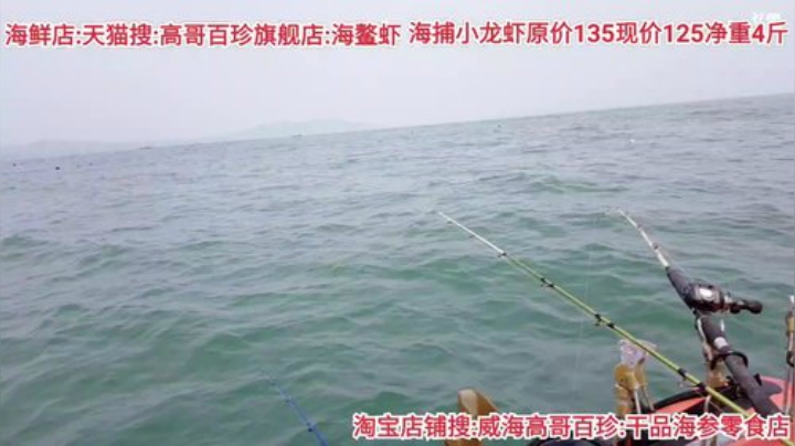 西北老狼哥哥发布了一个斗鱼视频2020-07-17