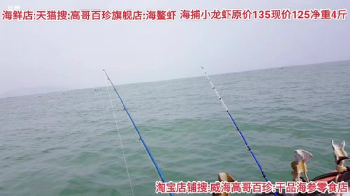 龙马精神丶老狼哥发布了一个斗鱼视频2020-07-17