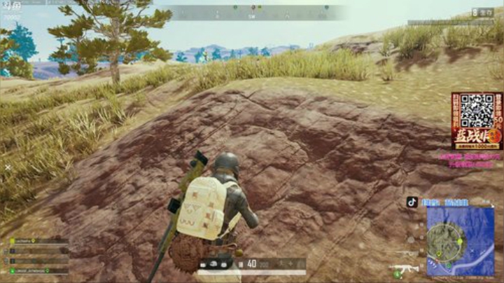 吃鸡小霸王 70002 2020-07-17 10点场