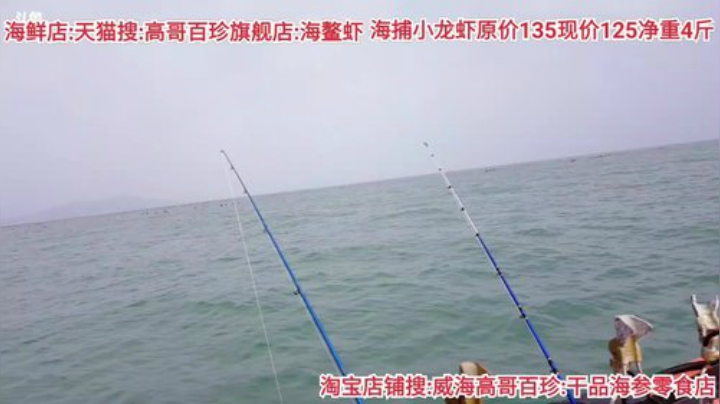 龙马精神丶老狼哥发布了一个斗鱼视频2020-07-17