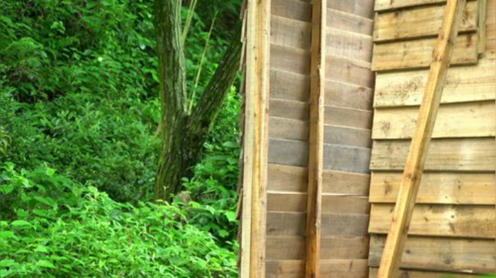 哆啦爱梦梦发布了一个斗鱼视频2020-07-17