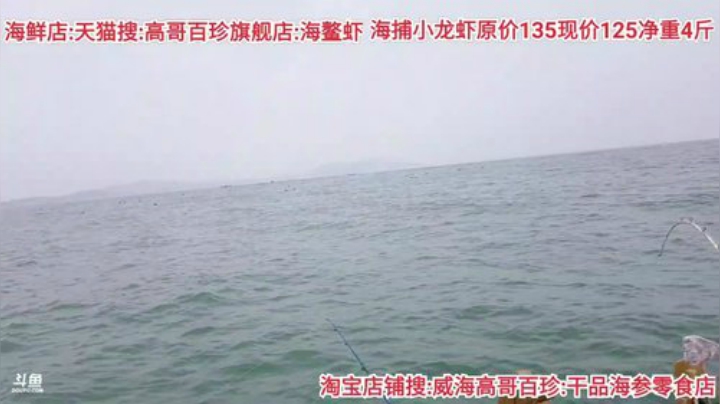 西北老狼哥哥发布了一个斗鱼视频2020-07-17