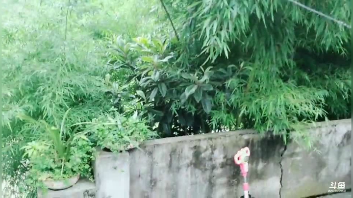 婚礼前的准备 打扫打扫(≧ω≦)/ 2020-07-17 18点场