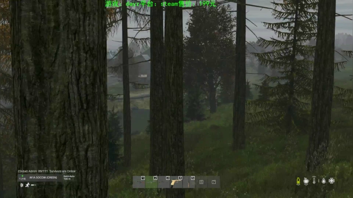 dayz (艺术家的生存哲学） 2020-07-15 23点场