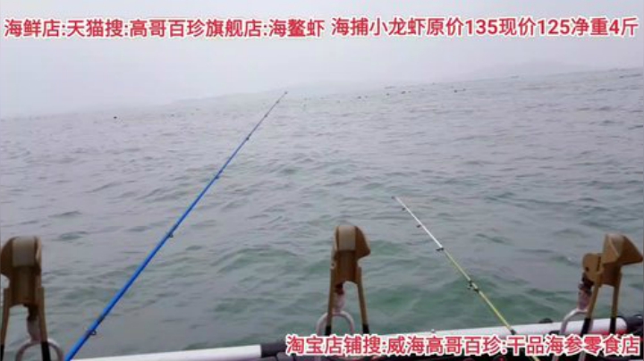 西北老狼哥哥发布了一个斗鱼视频2020-07-17