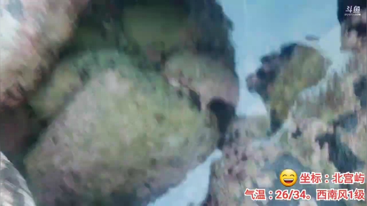 荒岛野炊---南澳岛第三天 2020-07-18 17点场