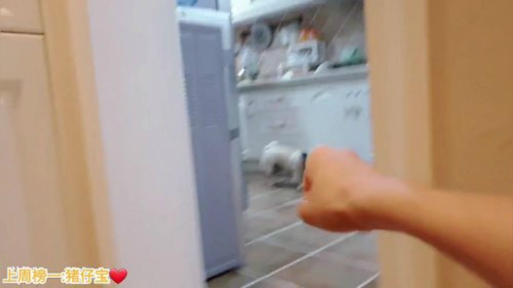 骆歆：【直播】嗨，今天不看你亏了 2020-07-14 20点场