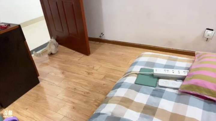 我在斗鱼看菠萝赛东直播二次元
