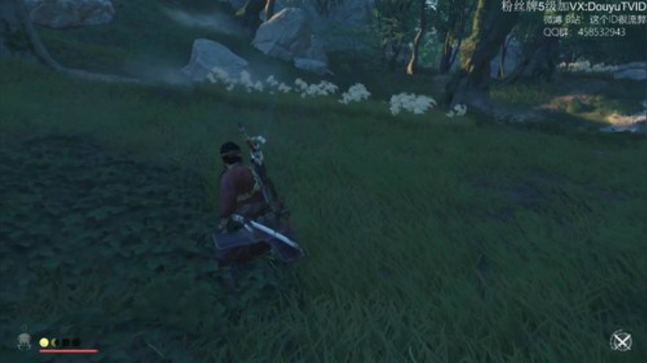 对什么岛？马什么魂？（ID 2020-07-19 12点场