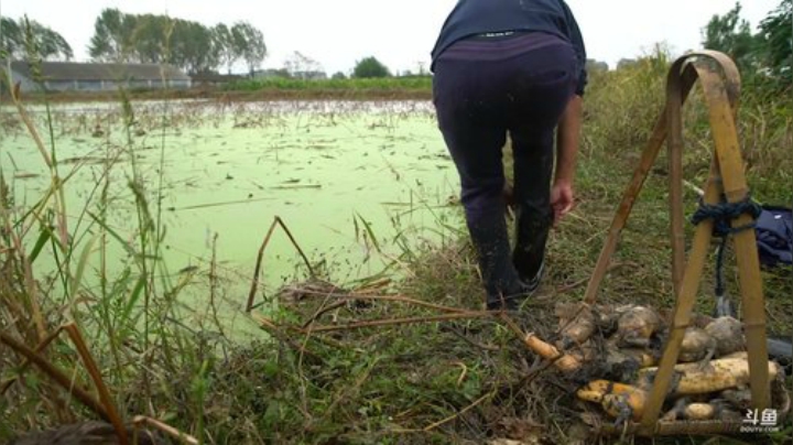哆啦爱梦梦发布了一个斗鱼视频2020-07-19