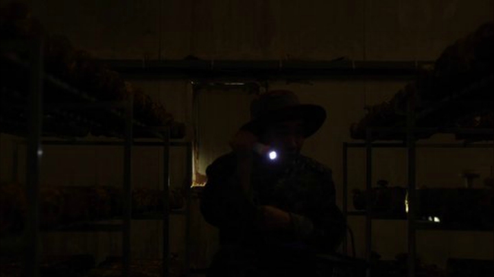 我在斗鱼看野食小哥直播美食