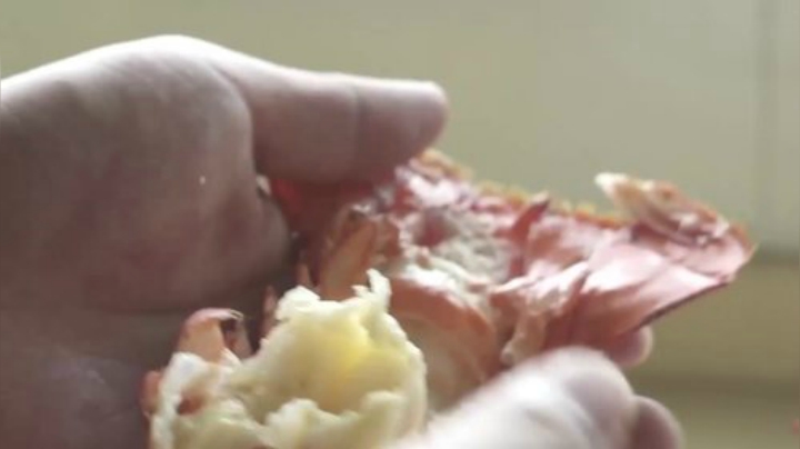 哆啦爱梦梦发布了一个斗鱼视频2020-07-20