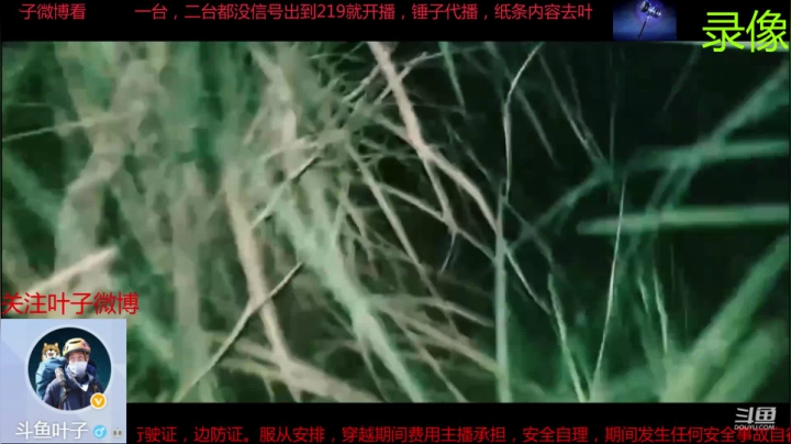 纪实直播:西藏阿里南线第115天 2020-07-21 12点场