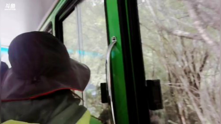 圆园团团发布了一个斗鱼视频2020-07-21