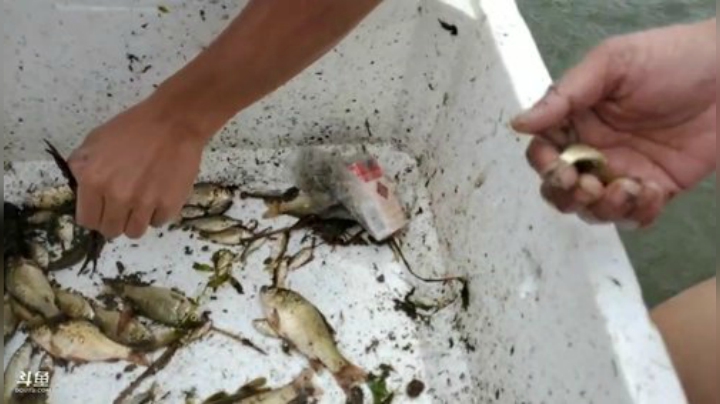 科头溜子发布了一个斗鱼视频2020-07-21