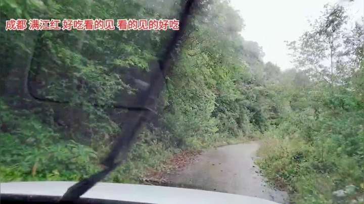 晚上九点半见 2020-07-22 18点场