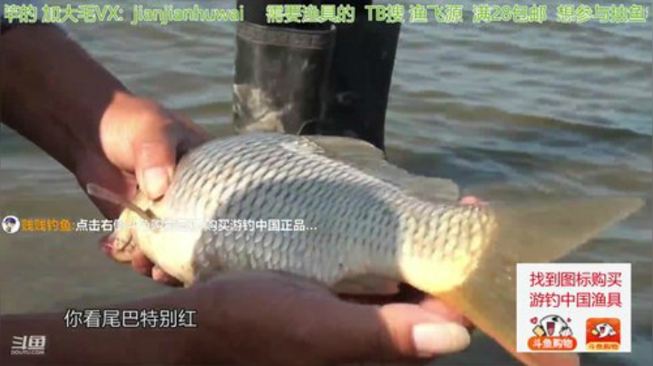 wlbig发布了一个斗鱼视频2020-07-22