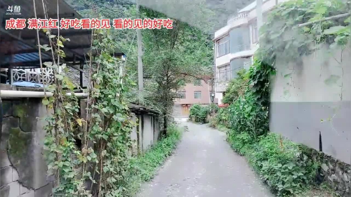 啦柴火(≧ω≦)/ 2020-07-22 12点场